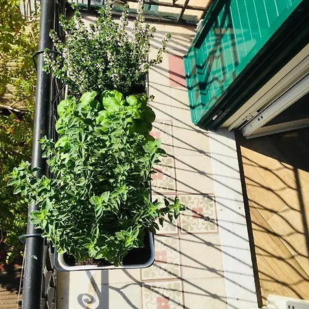 Go Go House 2 Casa Aprile Apartment Palermo Exterior photo